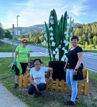 Solzice na Brdinjah (2)